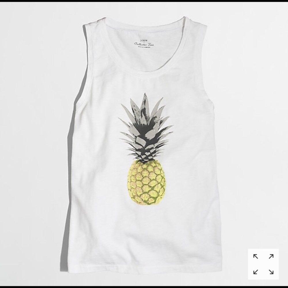NWT pineapple tank